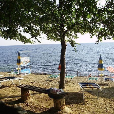 Janja Apartment Novigrad Istria Eksteriør bilde