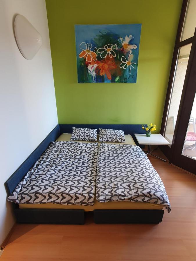 Janja Apartment Novigrad Istria Eksteriør bilde