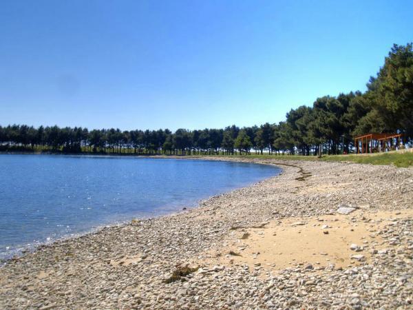 Janja Apartment Novigrad Istria Eksteriør bilde